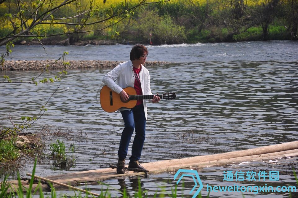 一八梅花二度開指什么生肖：命理視角深度解讀，揭開生肖玄機